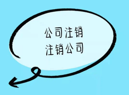 網(wǎng)上可以異地注銷公司嗎？